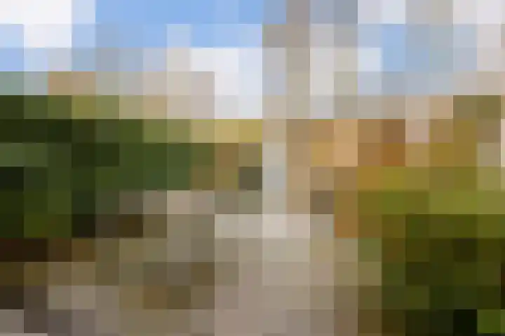 Meidoornrode 95 Voorhout thumbnail 34