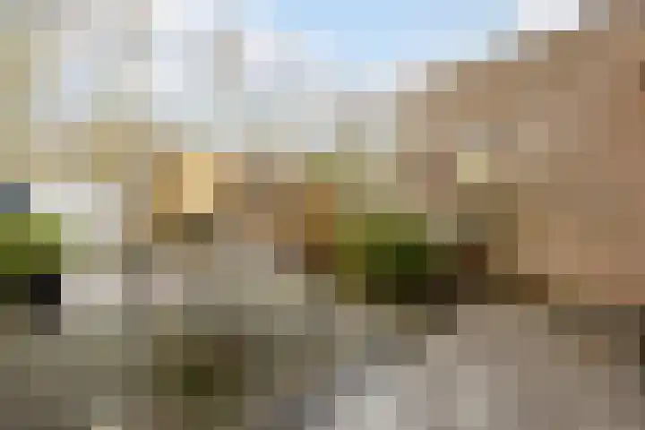 Meidoornrode 95 Voorhout thumbnail 35