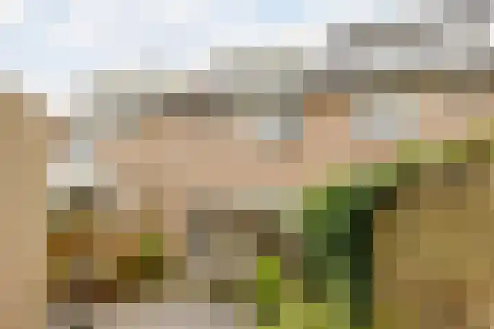 Meidoornrode 95 Voorhout thumbnail 37