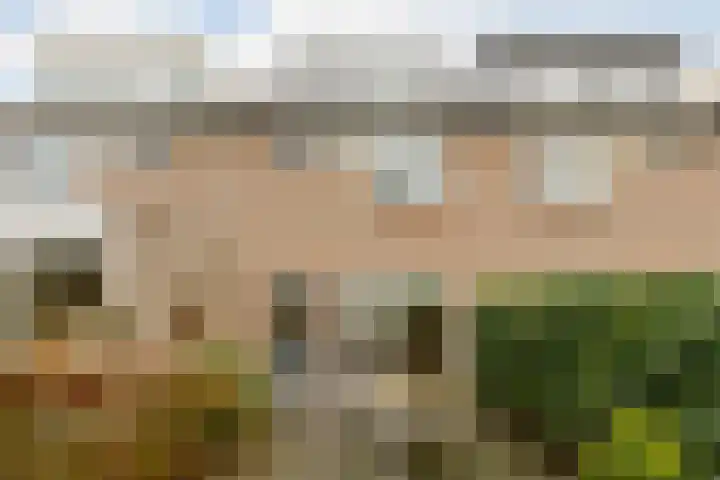 Meidoornrode 95 Voorhout thumbnail 38
