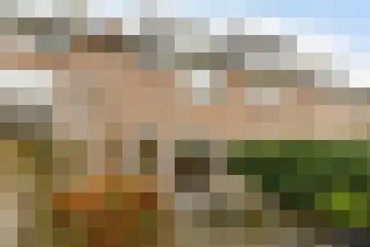Meidoornrode 95 Voorhout thumbnail 39