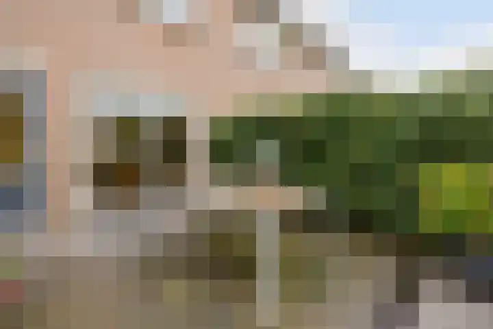 Meidoornrode 95 Voorhout thumbnail 40
