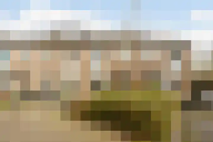 Meidoornrode 95 Voorhout thumbnail 41