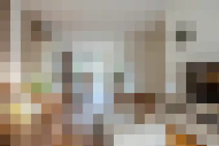 Meidoornrode 95 Voorhout thumbnail 6