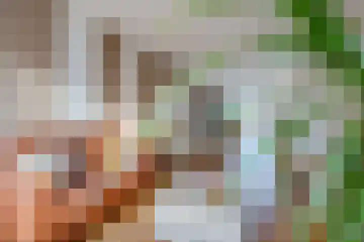 Meidoornrode 95 Voorhout thumbnail 7