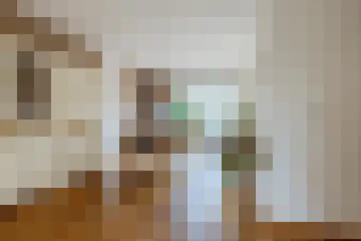 Meidoornrode 95 Voorhout thumbnail 9