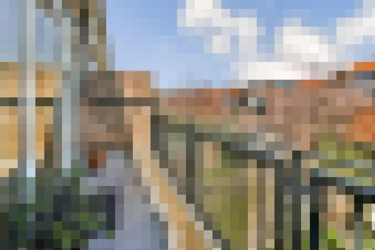 Meidoornsingel 164 Rotterdam thumbnail 17