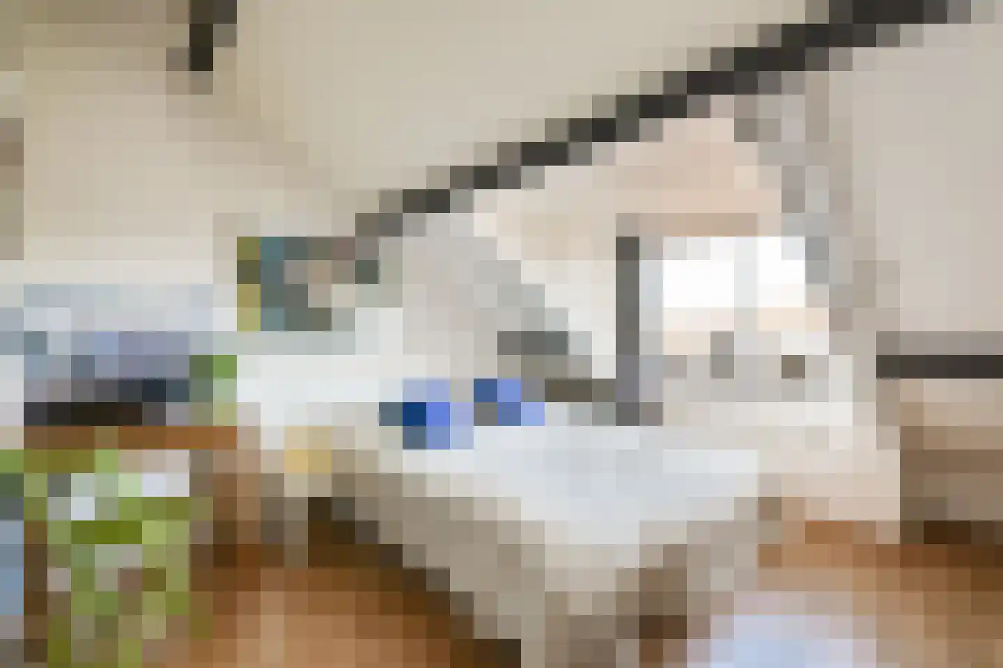 Meidoornsingel 164 Rotterdam thumbnail 20