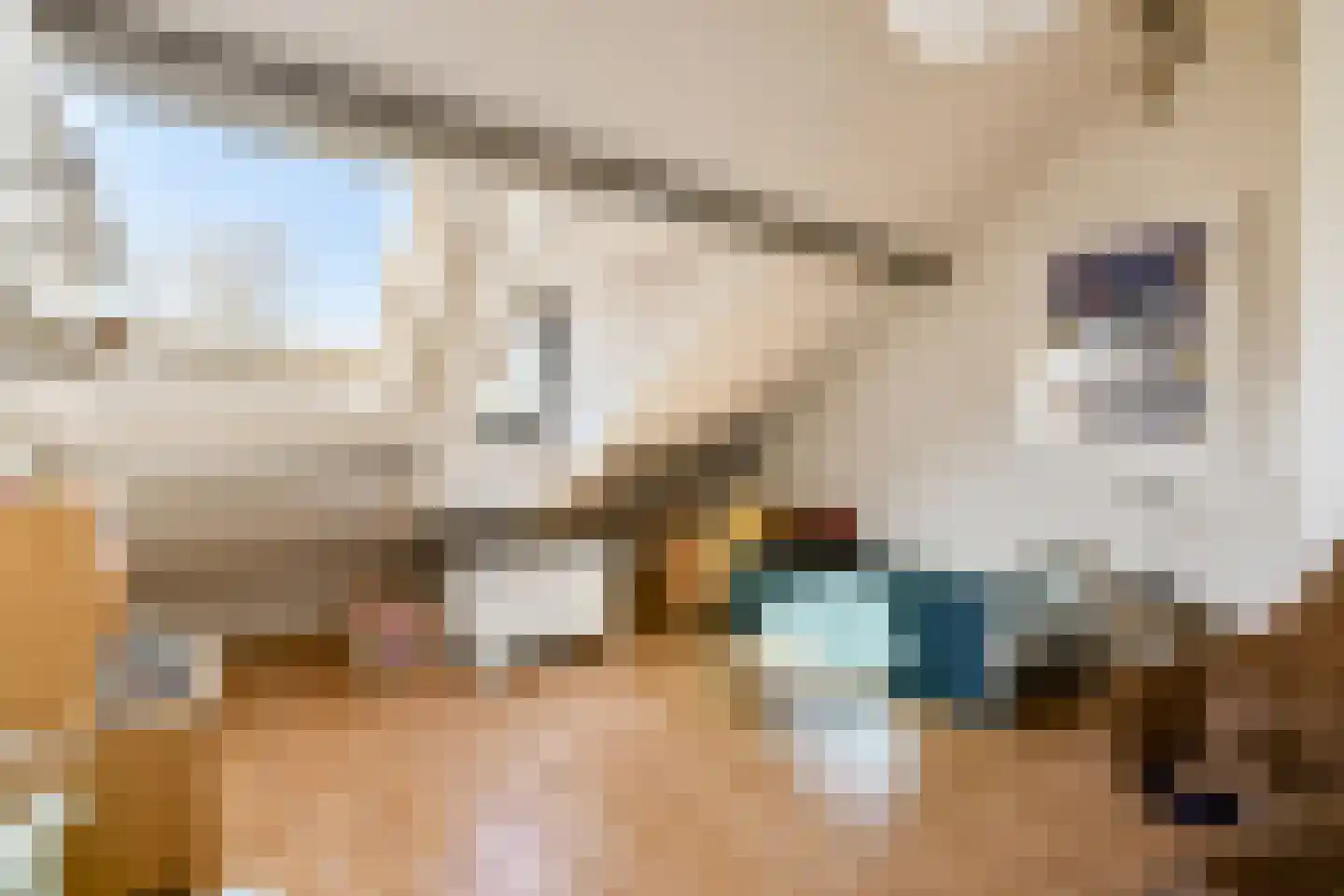 Meidoornsingel 164 Rotterdam thumbnail 22