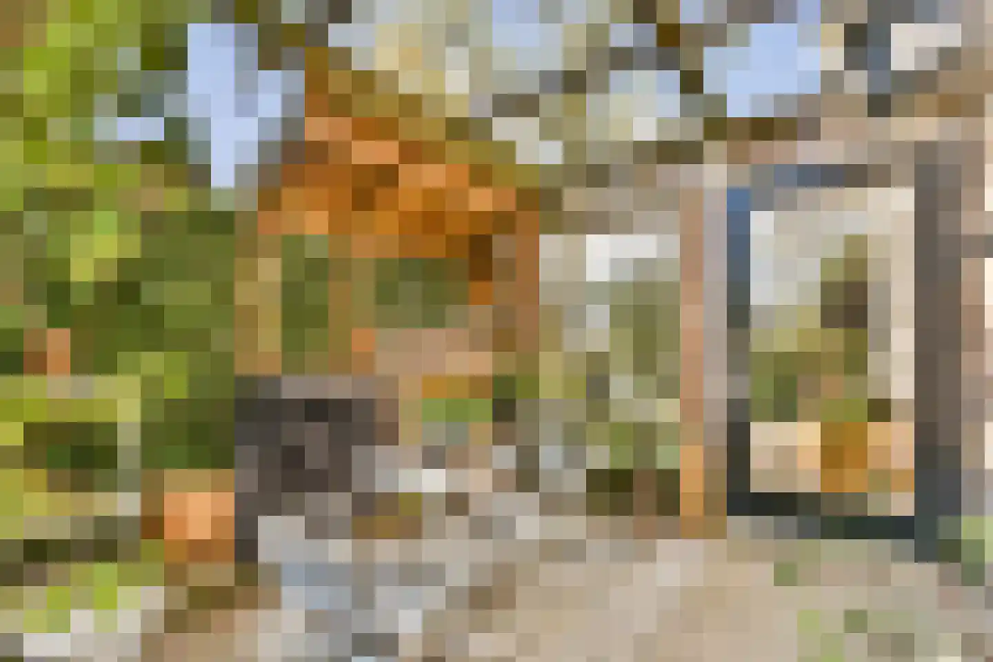 Meidoornsingel 164 Rotterdam thumbnail 9