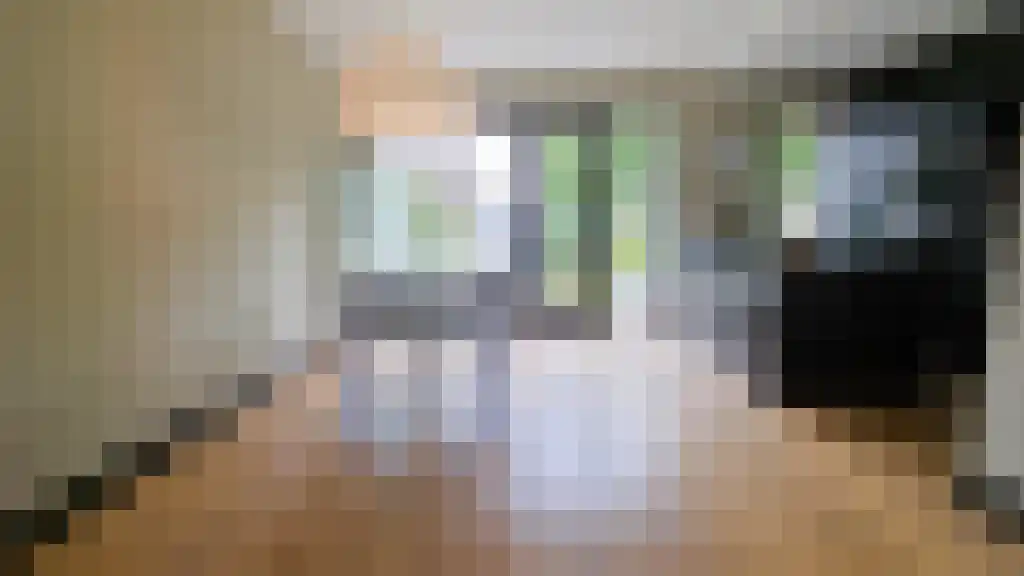 Meidoornsingel 172 Rotterdam thumbnail 4