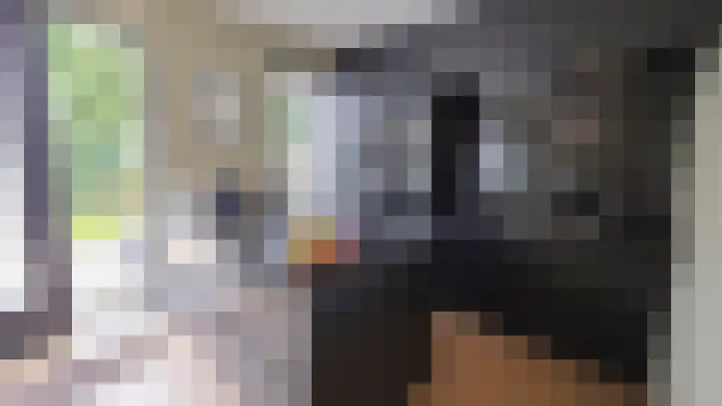Meidoornsingel 172 Rotterdam thumbnail 6