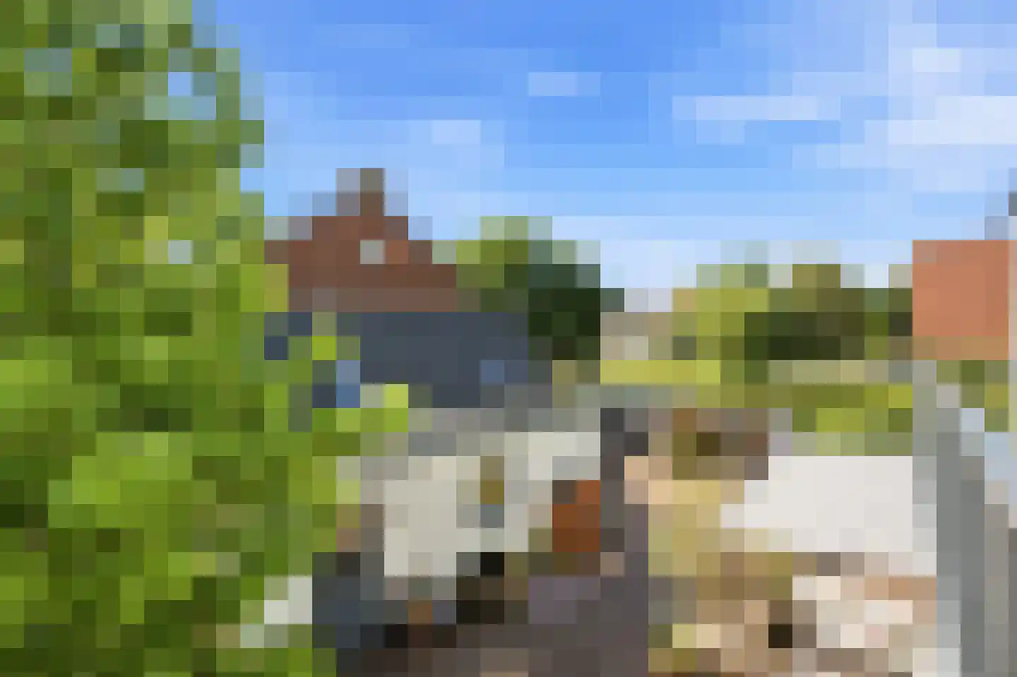 Meidoornsingel 174 Rotterdam thumbnail 21