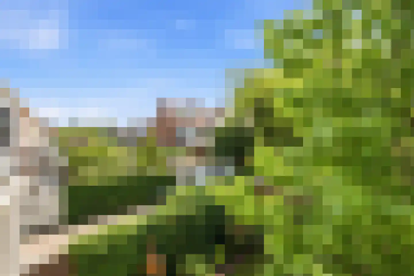 Meidoornsingel 174 Rotterdam thumbnail 22