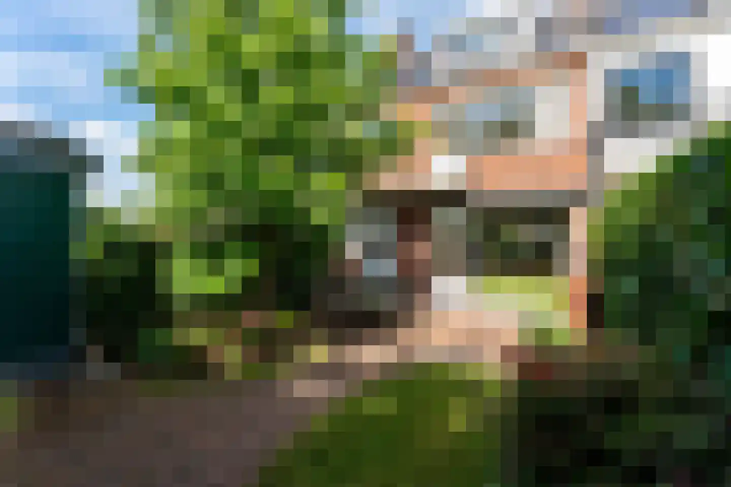 Meidoornsingel 174 Rotterdam thumbnail 35