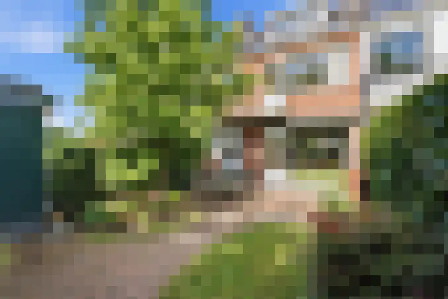 Meidoornsingel 174 Rotterdam thumbnail 36