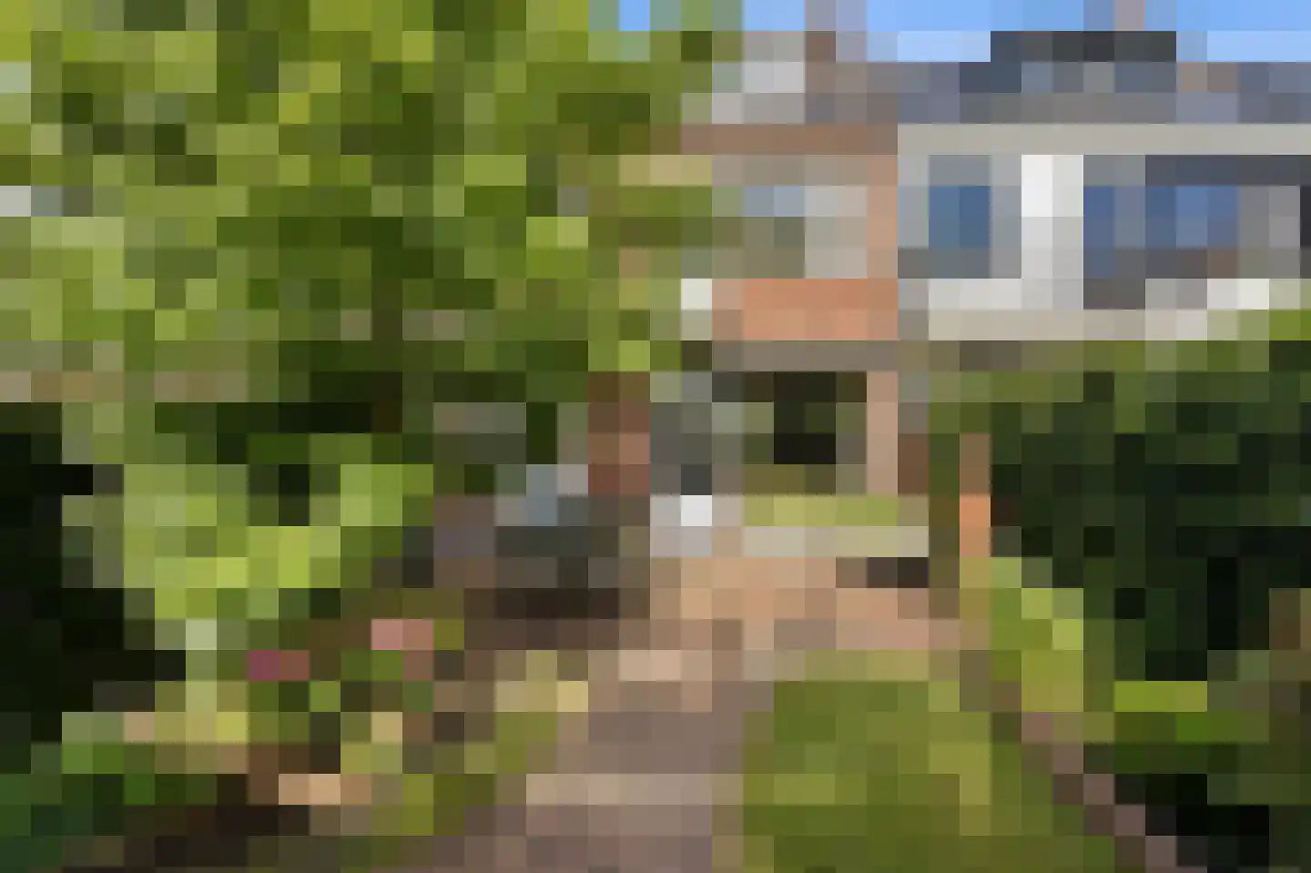Meidoornsingel 174 Rotterdam thumbnail 37