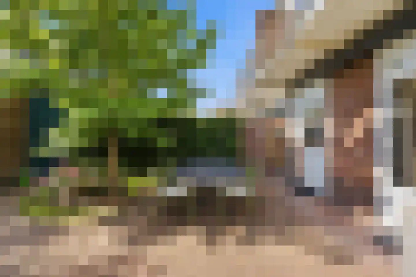 Meidoornsingel 174 Rotterdam thumbnail 38