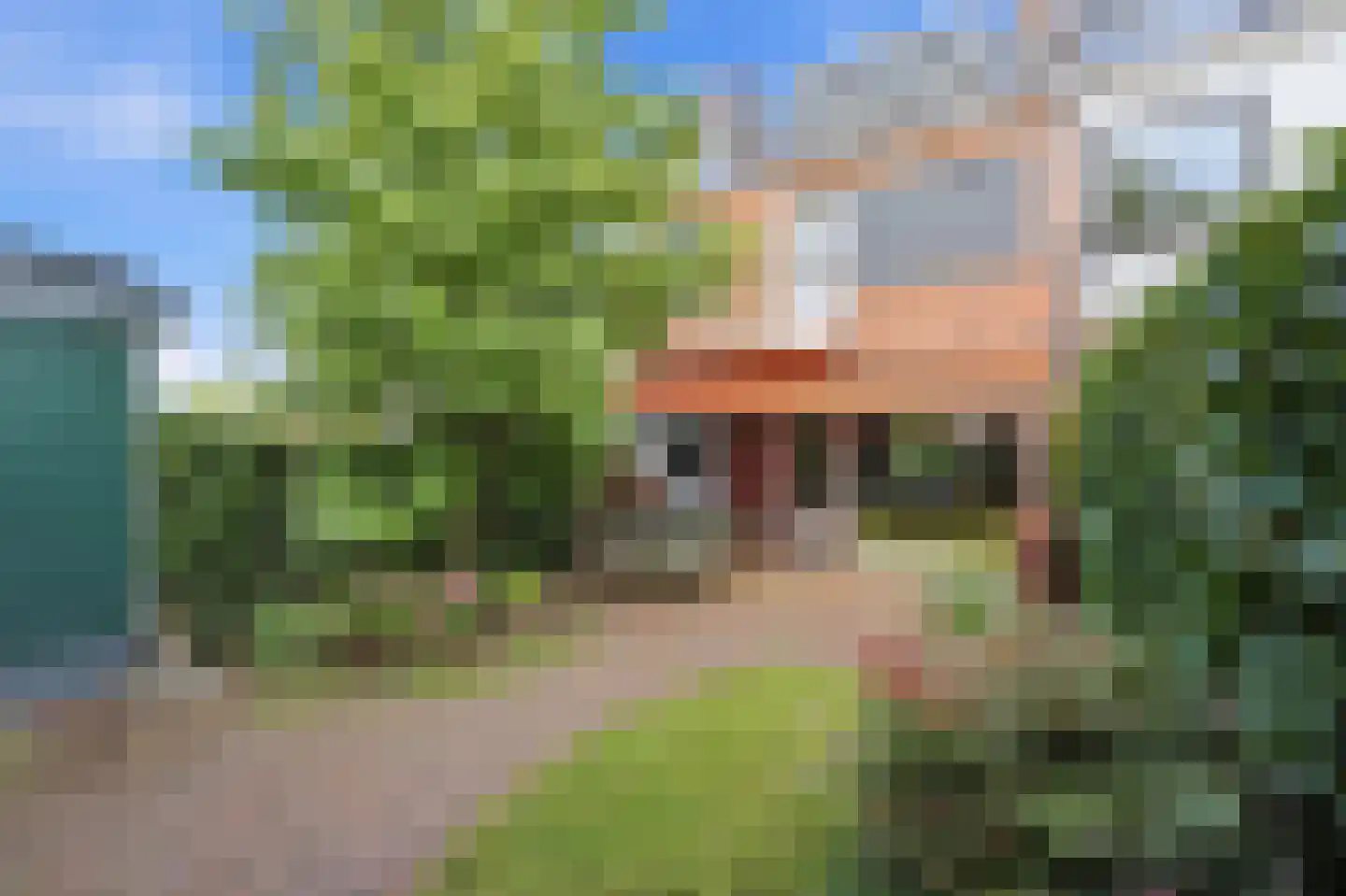 Meidoornsingel 174 Rotterdam thumbnail 44