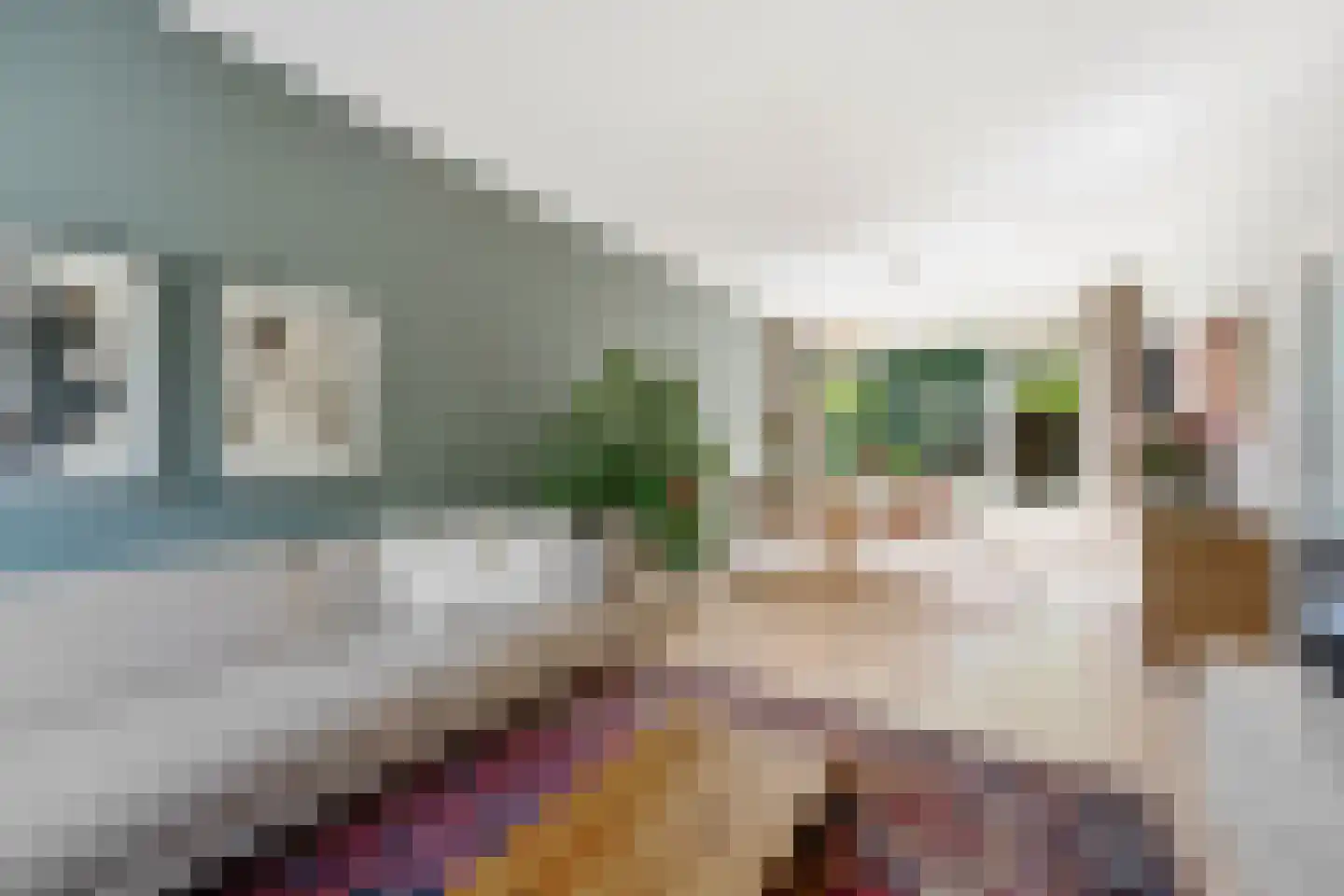 Meidoornsingel 174 Rotterdam thumbnail 6