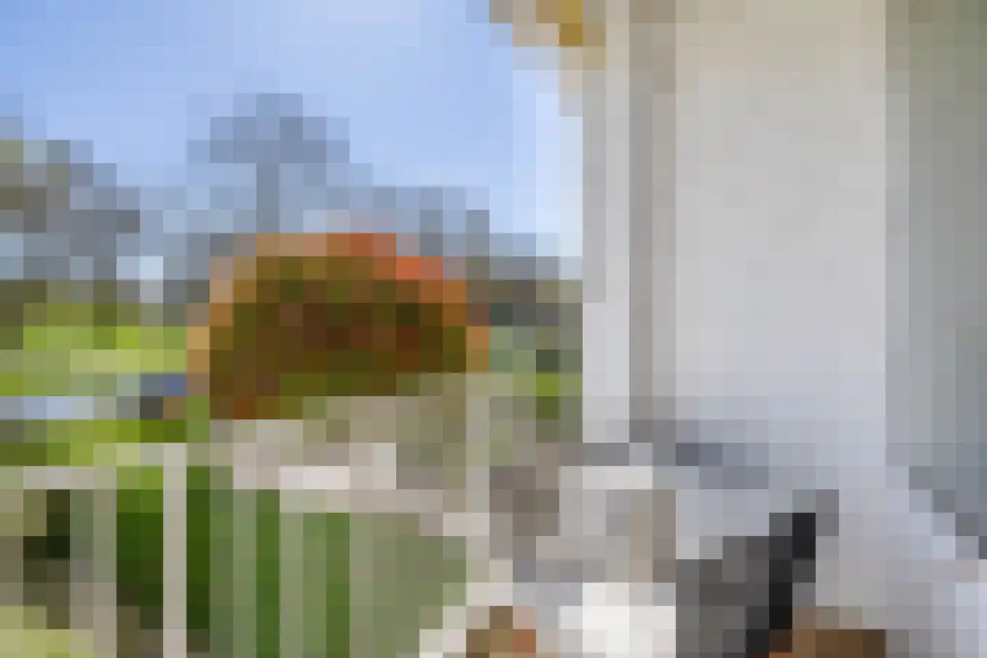 Meidoornsingel 85 A Rotterdam thumbnail 15