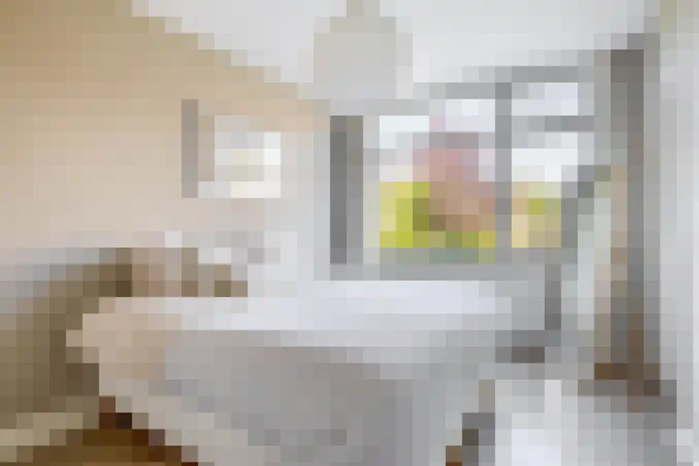 Meidoornsingel 85 A Rotterdam thumbnail 25
