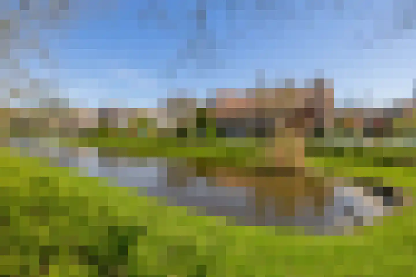 Meidoornsingel 85 A Rotterdam thumbnail 29