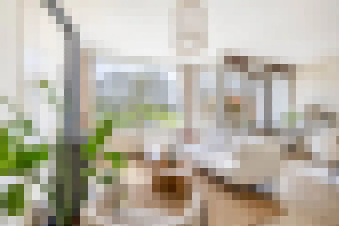 Meidoornsingel 85 A Rotterdam thumbnail 8