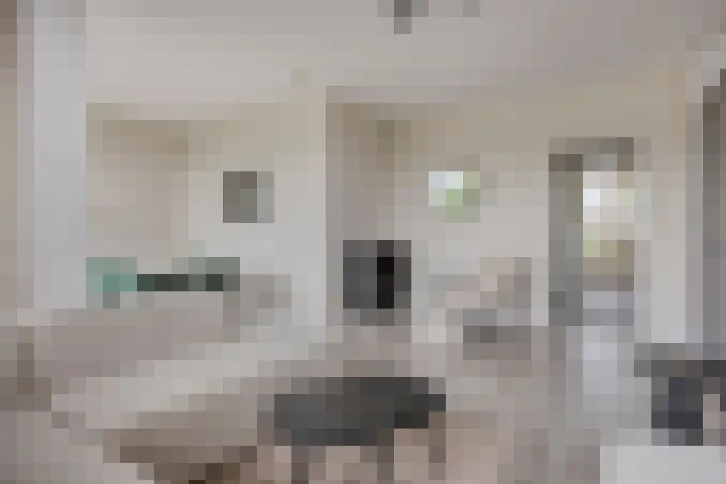 Meidoornsingel 85 C Rotterdam thumbnail 13