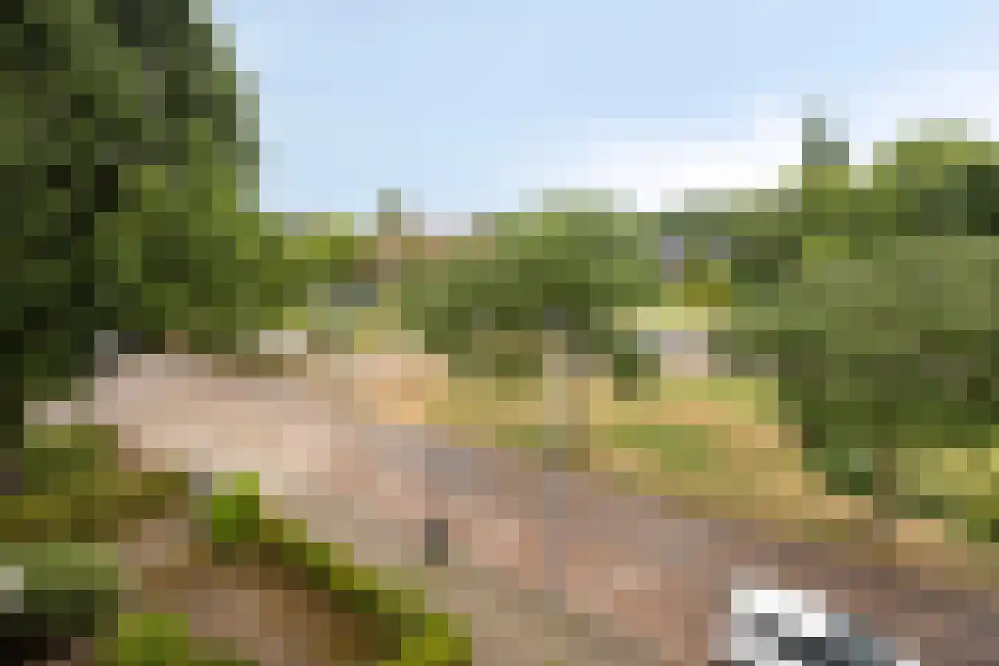 Meidoornsingel 85 C Rotterdam thumbnail 33