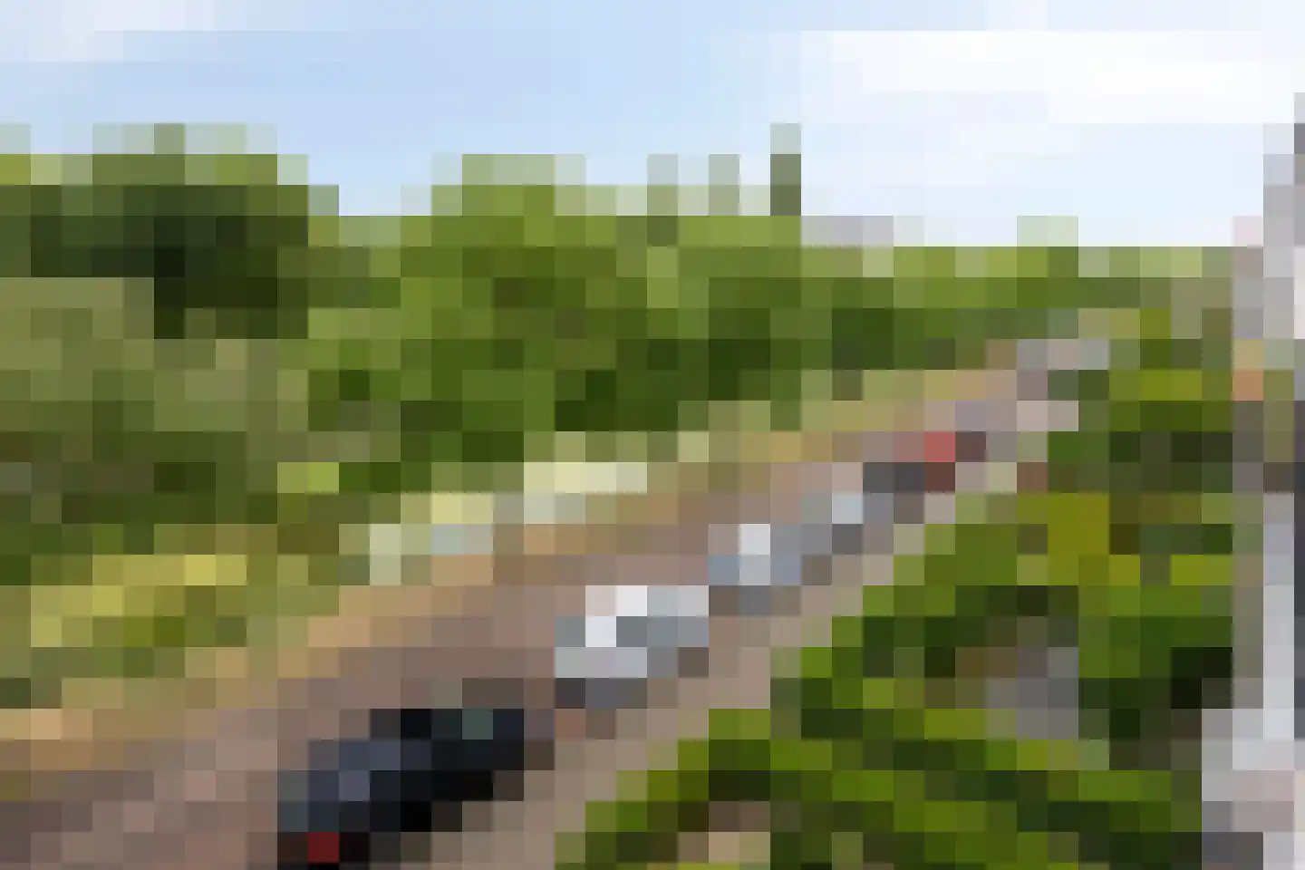 Meidoornsingel 85 C Rotterdam thumbnail 34