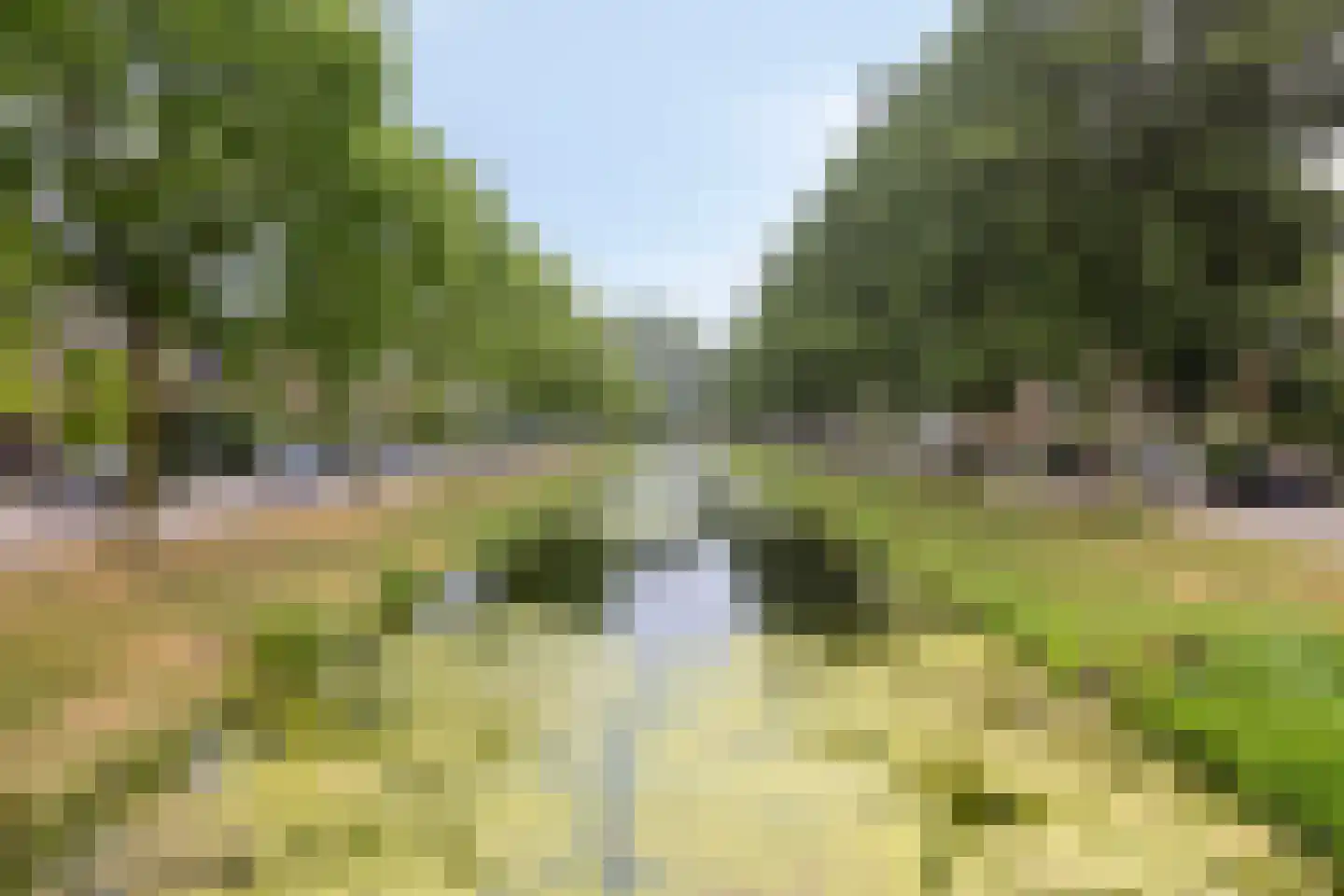 Meidoornsingel 85 C Rotterdam thumbnail 38