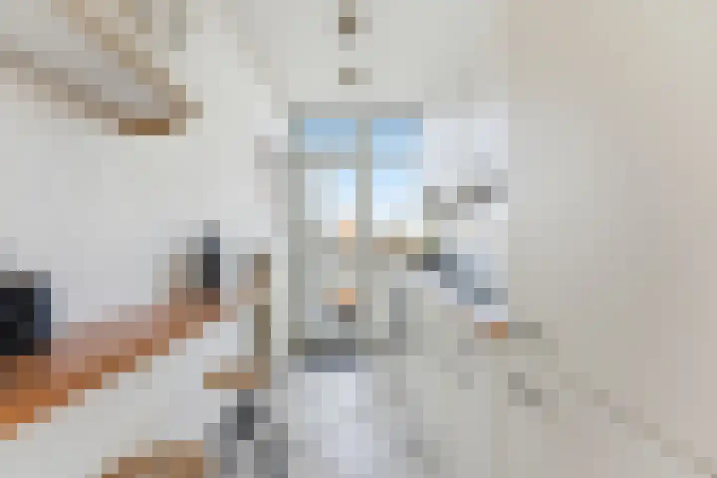 Meidoornsingel 93 A Rotterdam thumbnail 20