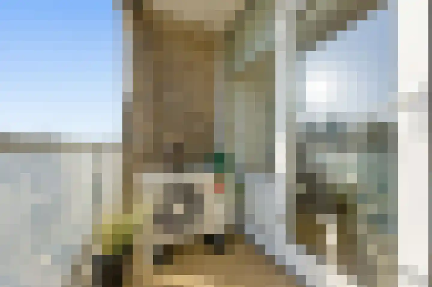 Meidoornsingel 93 C Rotterdam thumbnail 33