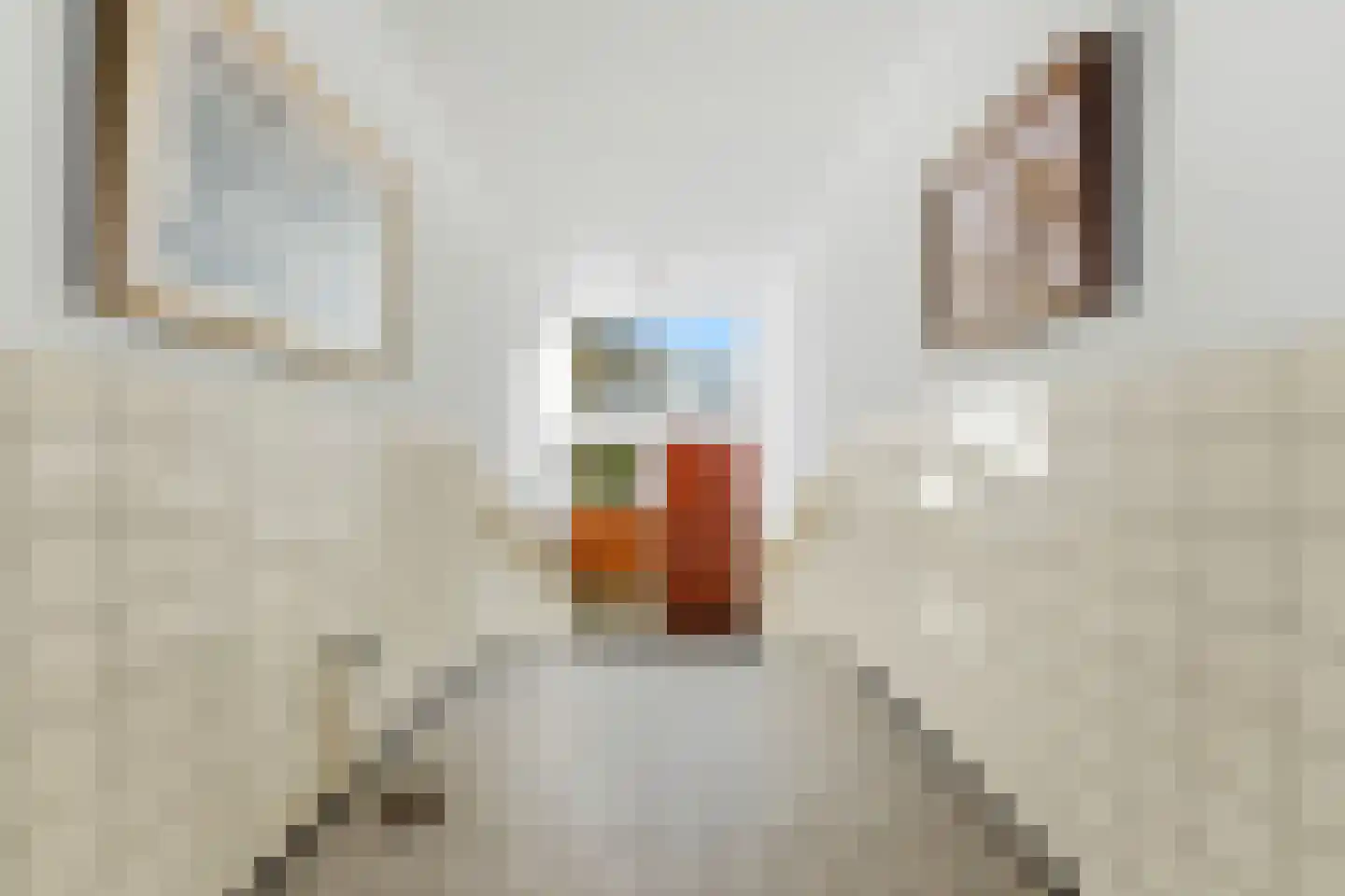 Meidoornsingel 93 C Rotterdam thumbnail 35