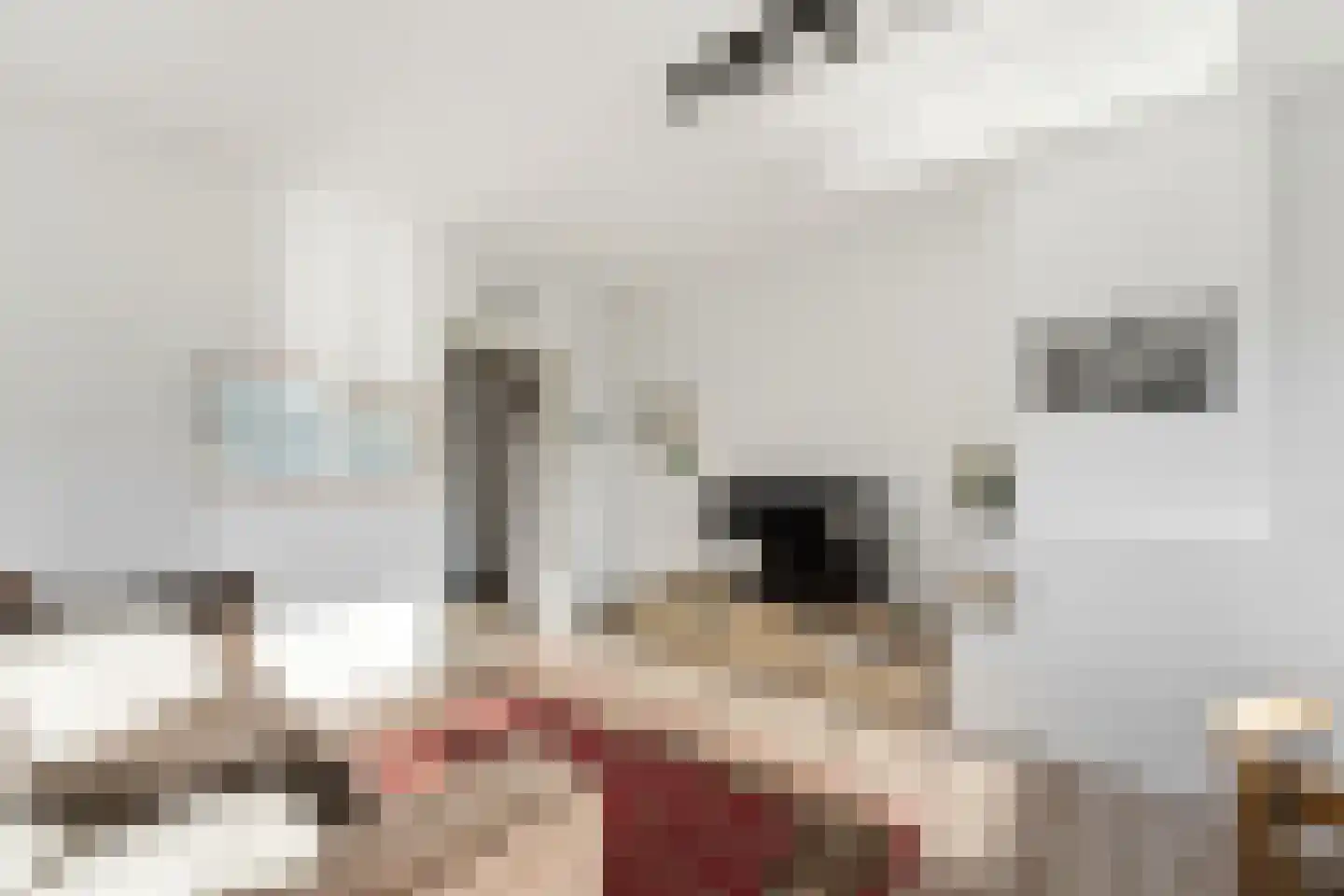Meidoornsingel 97 B Rotterdam thumbnail 10
