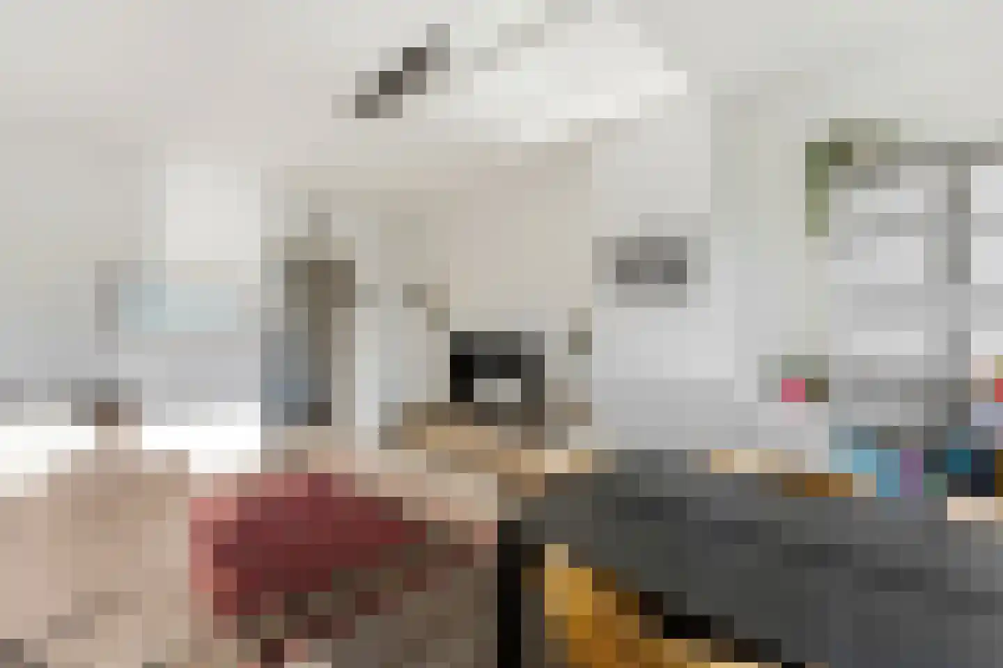 Meidoornsingel 97 B Rotterdam thumbnail 11