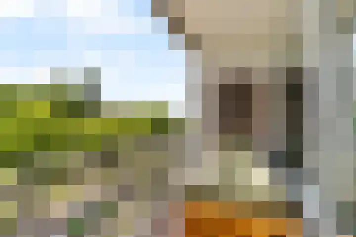 Meidoornsingel 97 B Rotterdam thumbnail 12