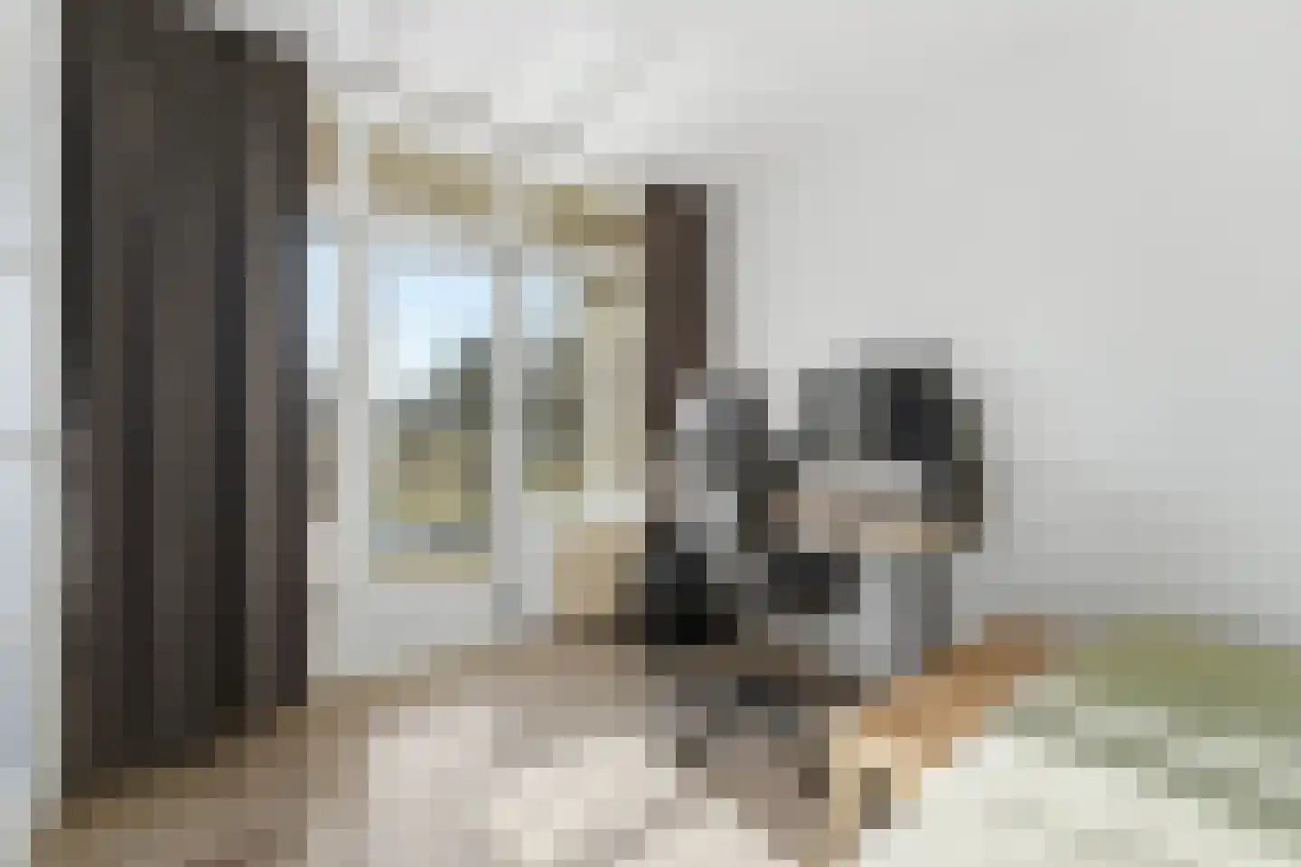 Meidoornsingel 97 B Rotterdam thumbnail 13