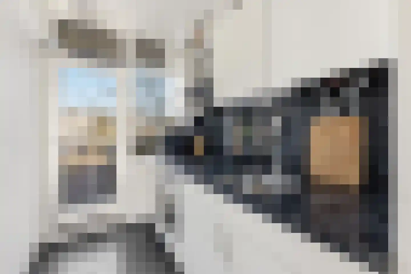 Meidoornsingel 97 B Rotterdam thumbnail 19