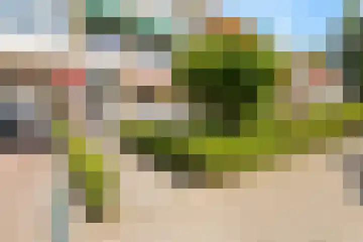 Meidoornsingel 97 B Rotterdam thumbnail 19