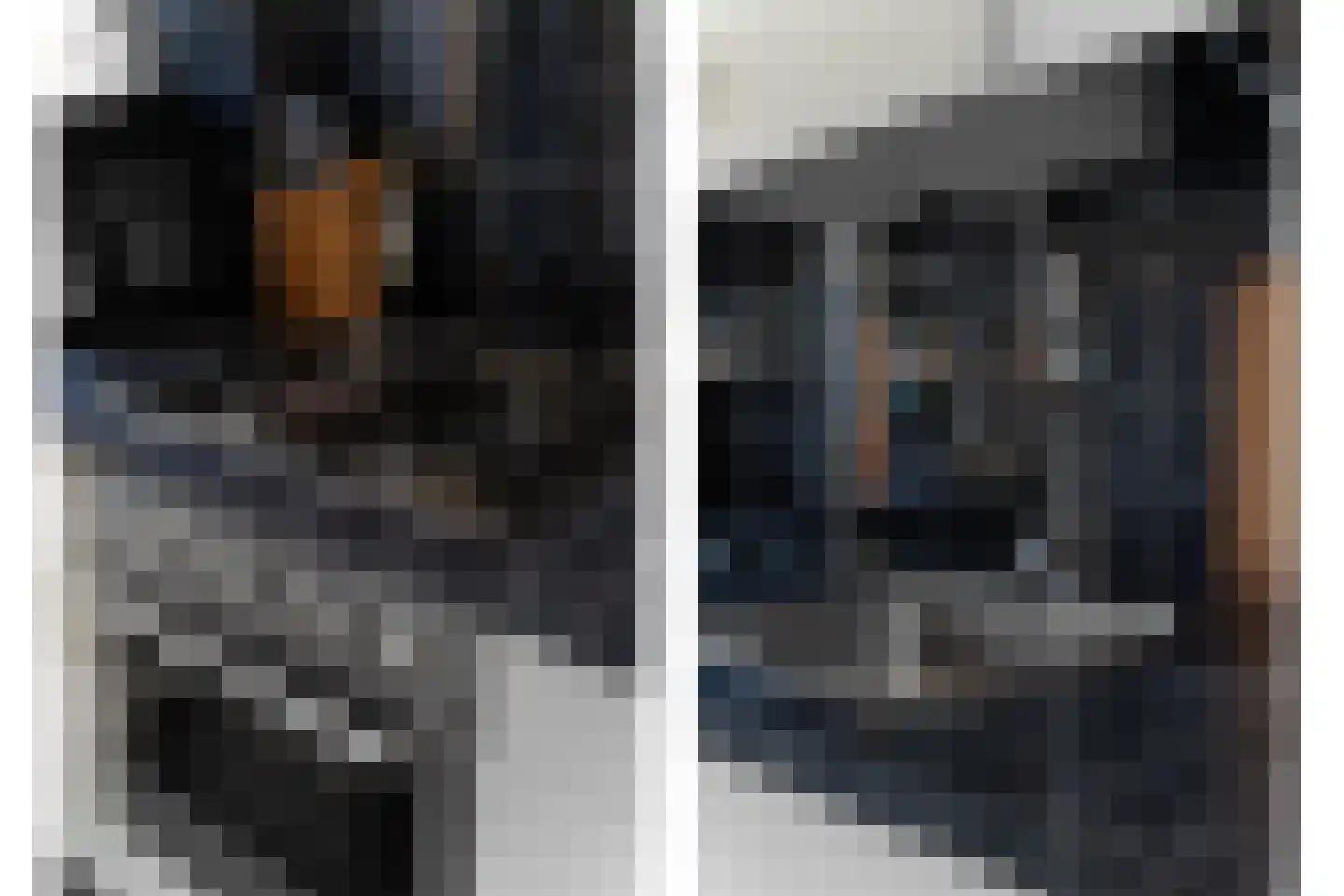 Meidoornsingel 97 B Rotterdam thumbnail 20