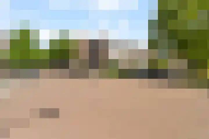 Meidoornsingel 97 B Rotterdam thumbnail 21