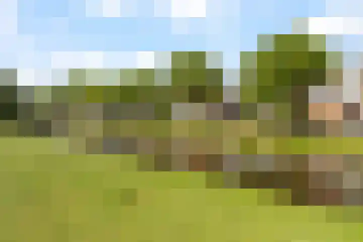 Meidoornsingel 97 B Rotterdam thumbnail 22
