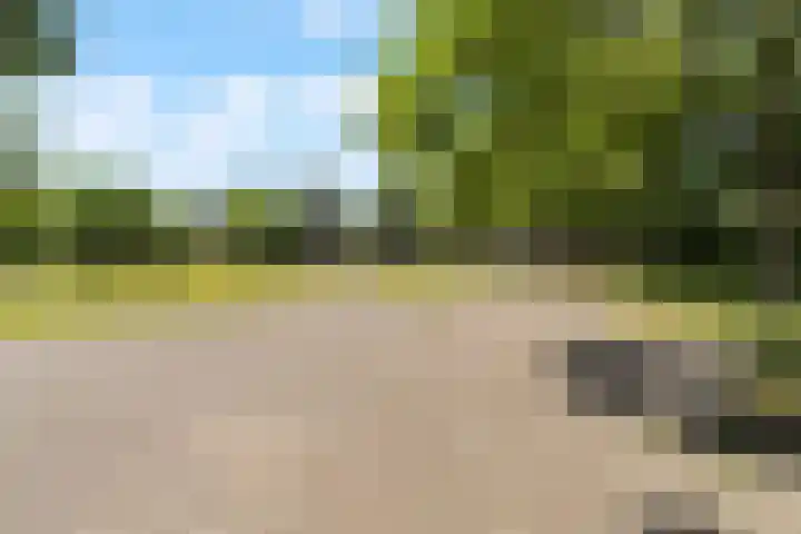 Meidoornsingel 97 B Rotterdam thumbnail 23