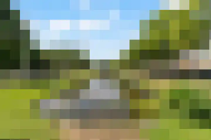 Meidoornsingel 97 B Rotterdam thumbnail 24