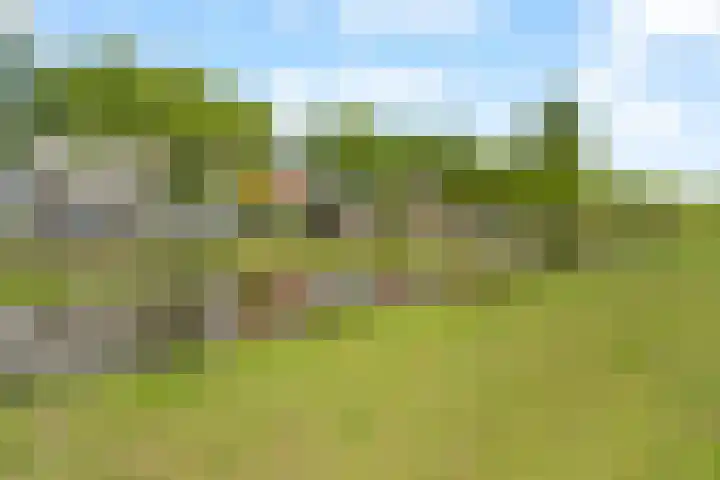 Meidoornsingel 97 B Rotterdam thumbnail 27