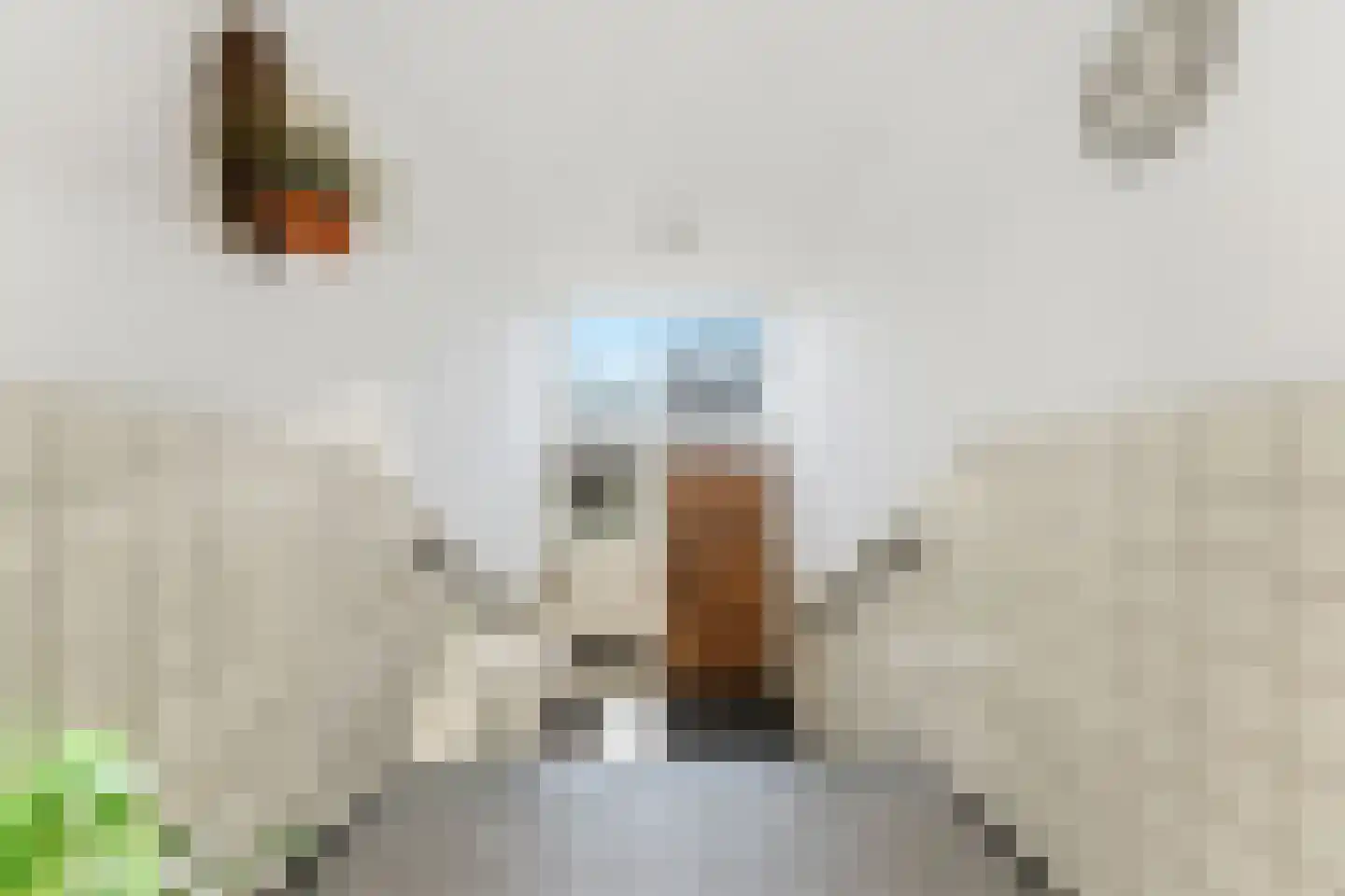 Meidoornsingel 97 B Rotterdam thumbnail 33