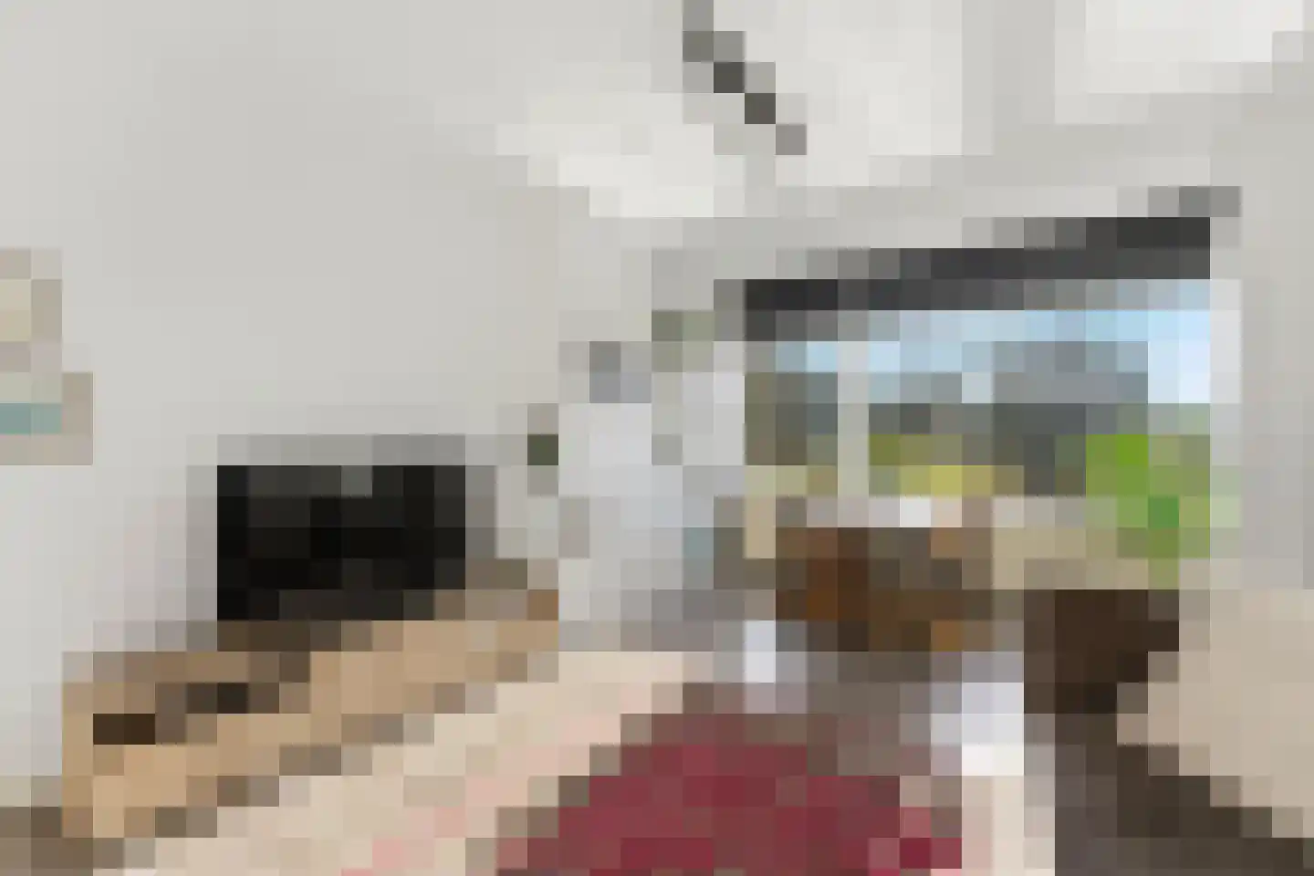 Meidoornsingel 97 B Rotterdam thumbnail 5