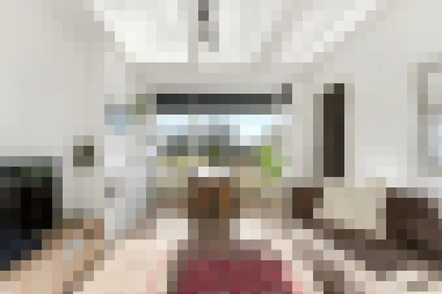 Meidoornsingel 97 B Rotterdam thumbnail 6